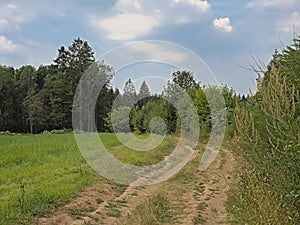 Dirtroad in the forest in the  wallonian countryside.