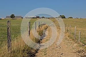 Dirtroad between meadows the wallonian countryside