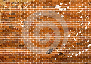 Dirty brick wall in the grunge style. vector illustration