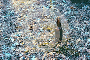 Dirty brown beer bottle on the ground in the grass