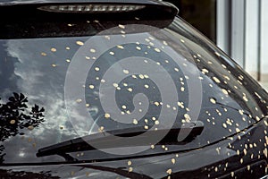 The Dirty car in mud splashes.