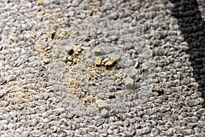 Dirty carpet in need of cleaning