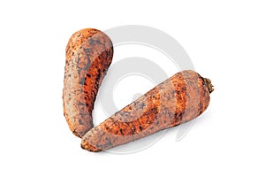Dirty carrot. Freshly dug carrots. Dirty carrot with earth isolated on white background
