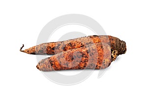 Dirty carrot. Freshly dug carrots. Dirty carrot with ground isolated on white background