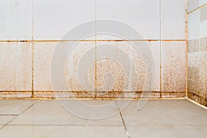 Dirty on ceramic wall in bathroom