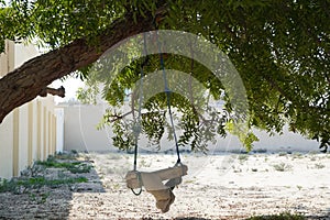 A Dirty Children Tree Swing. Wooden Swing Still Under The Trees In The Fall Leaves And Winter. Wooden Swing On Ropes Under The Big