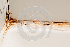 Dirty corner in the bathroom, cleaning concept, old rusty joint between tiles in the shower with mold