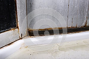 Dirty corner of the shower stall.