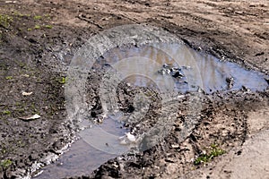 Dirty country road with large puddles after rain. Dirt road after heavy rains. Beginning of autumn. Off-road, 4x4. muddy road