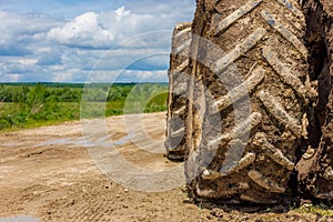 dirty double wheels of agriculture tractor on dirt road at sunny summer day on dirt road with green field in the