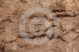 Dirty dry dark brown soil sand earth land ground. Natural environmental textured abstract background terrain.