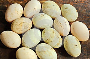 Dirty duck eggs