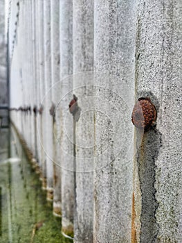 Rusty nails on dirty asbestos were photographed at right back angle photo