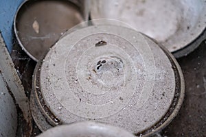 Dirty, dusty, cobwebbed, old kitchen utensils in an abandoned apartment close-up