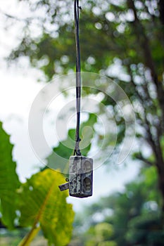 Dirty electric switch hanging outside. Nature backgrounds.