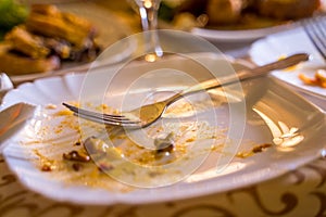 Dirty empty plate with fork on the table