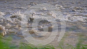 Dirty flood water flowing rapidly in river, closeup detail, slow motion video