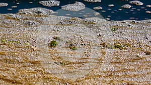 Dirty foam and rotting green algae near the shore in a salty hypertrophic lake in the Tiligul estuary