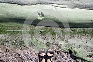 Dirty foam on the water near the shore. Green water, gray and dirty foam indicate the consequences of an environmental disaster.