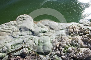 Dirty foam on the water near the shore. Green water, gray and dirty foam indicate the consequences of an environmental disaster.