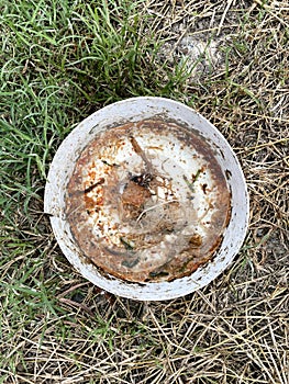 dirty food in bowl on the ground