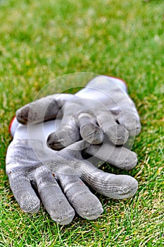 Dirty gardening gloves