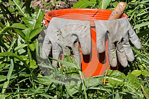 Dirty gardening gloves on a plastic red bucket with garden tools