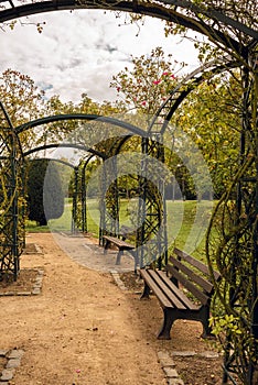 Dirty gravel road with  benches and arches in a park in autumn with yellow, green and red trees, vertical image