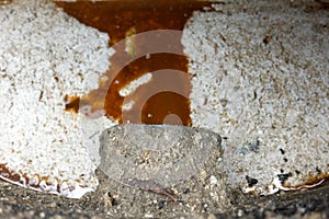 Dirty Grease trap, grease recovery device collects and reduces fats, oils and greases.