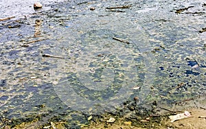 Dirty green polluted and garbage river in Puerto Escondido Mexico