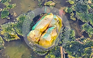 Dirty green polluted and garbage river in Puerto Escondido Mexico