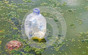 Dirty green polluted and garbage river in Puerto Escondido Mexico