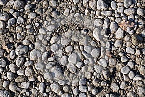 Dirty grey stones on the ground at the shore of a lake