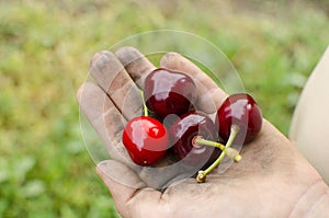 Dirty hands with fruit. Child, hygiene, the concept of proper hygiene education