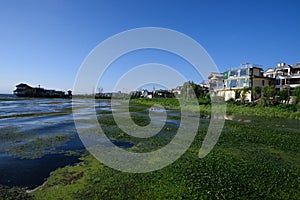 Dirty harbour besides village