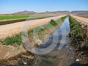 Dirty irrigation ditch photo