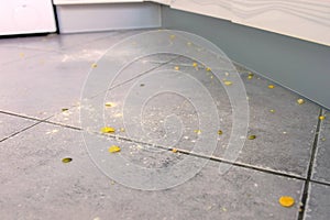 Dirty kitchen floor with food leftovers, flour, corn flakes after cooking. Close-up view.