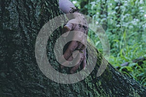 A dirty mans hand grabbing a tree trunk. With a dark moody edit