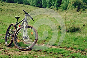 Dirty mountain bike in the forest. mud on bicycle tires