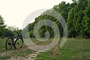 Dirty mountain bike in the forest. mud on bicycle tires