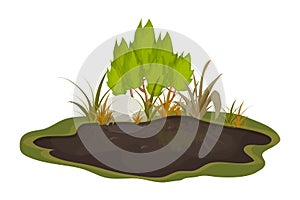 Dirty mud puddle, swamp with stone, grass in cartoon style isolated on white background. Natural wet soil, forest pond