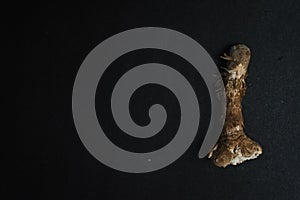 Dirty mushroom in a plate on a black background