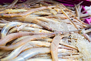 Dirty needle fish from fishing boats Before to cleaning.