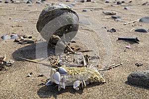 Dirty plastic cover on a beach