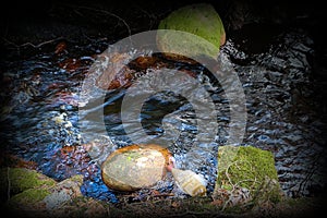 Dirty plastic pet bottle floating in a river. Plastic littering of oceans. Plastic pollution