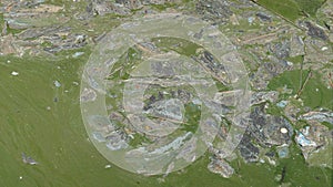 Dirty, polluted water. Eutrophication