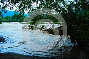 Dirty river current after rain. Mudslide concept. River flow with dirty water after heawy rain