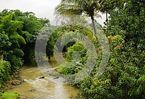 Dirty river flow photo taken in Bogor Indonesia