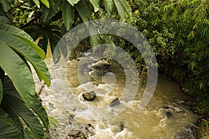 Dirty river flow photo taken in Bogor Indonesia photo