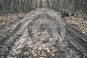 Dirty road in the autumn forest